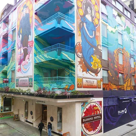 布鲁姆斯酒店 酒店